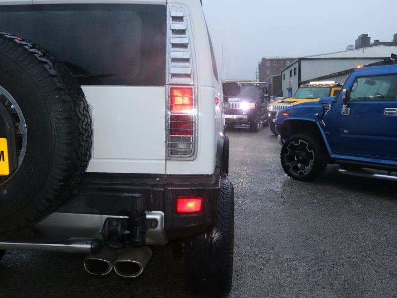 WhatsApp Image 2026-01-31 at 4.21.35 AM (1)