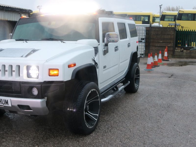 WhatsApp Image 2026-01-31 at 4.21.36 AM